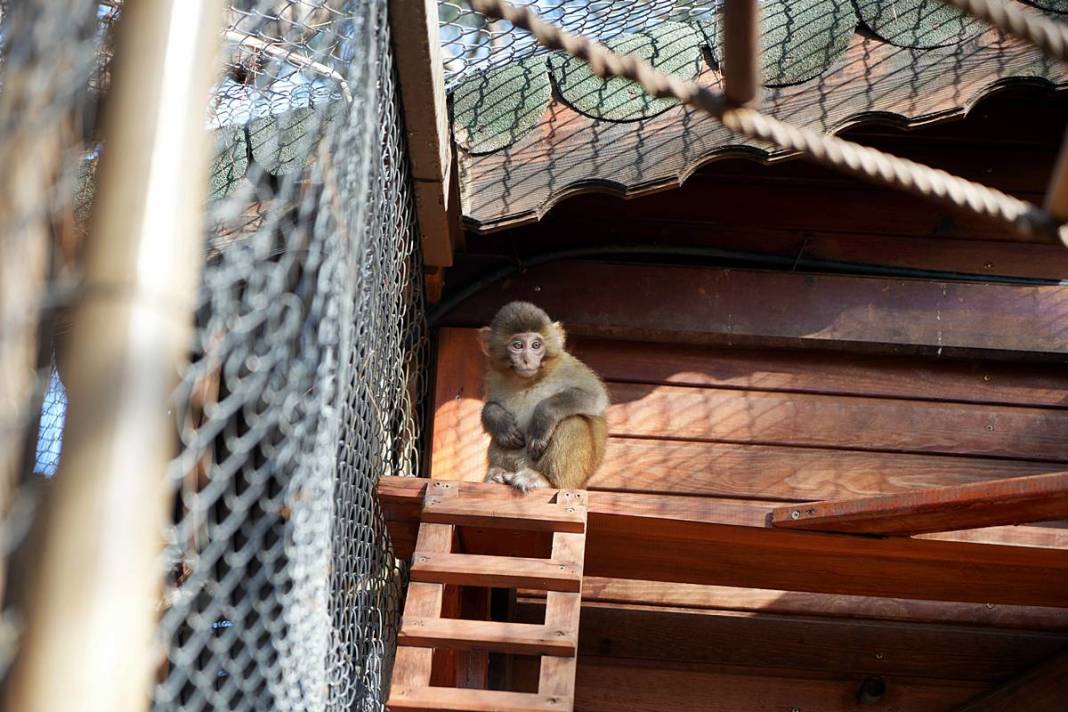 Otobüsle gönderilen koliyi kimse almayınca şoke eden gerçek ortaya çıktı! Hiç kimse bu kadar absürtlüğü tahmin edemezdi 22